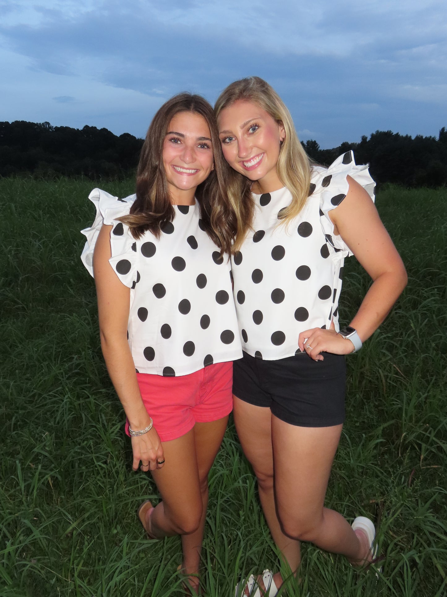 The Ruffle Sleeve Polka Dot Top